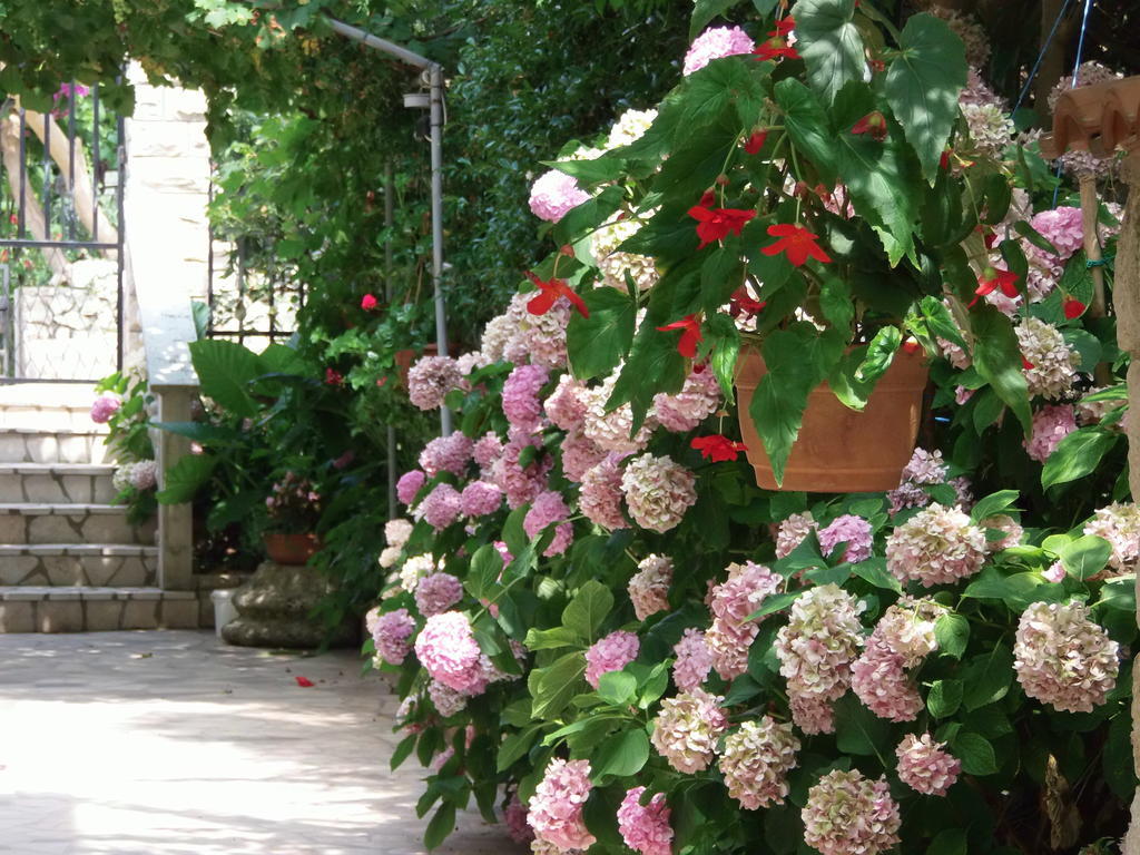 Apartments Beba Mali Losinj Bagian luar foto