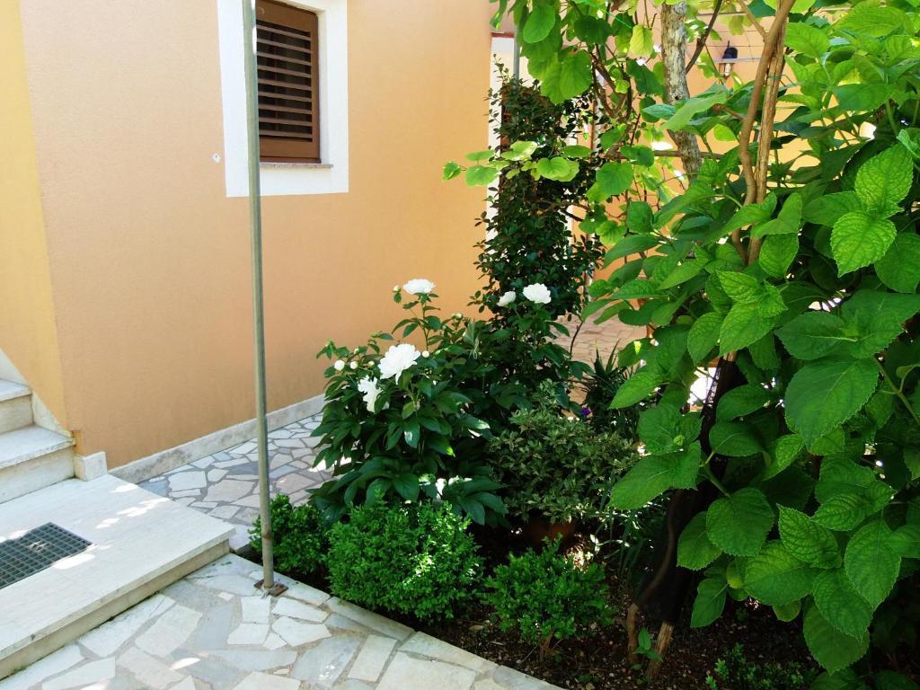 Apartments Beba Mali Losinj Ruang foto
