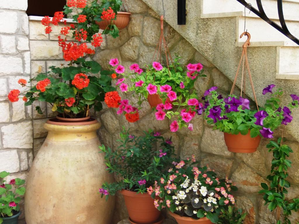 Apartments Beba Mali Losinj Ruang foto