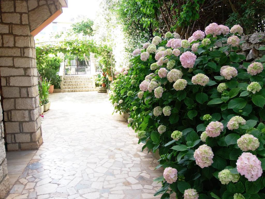 Apartments Beba Mali Losinj Ruang foto