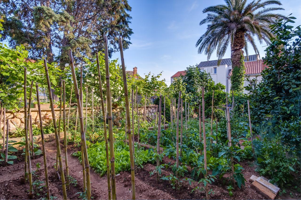 Apartments Beba Mali Losinj Bagian luar foto